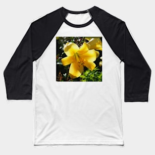 Sunlight filtering through Yellow Day Lilly Flower Baseball T-Shirt